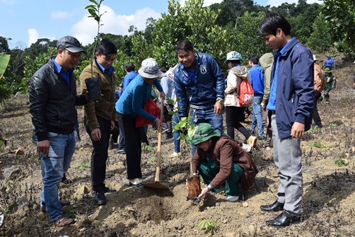 ĐVTN tham gia báo công và trồng cây tại Nhà thờ Bác Hồ, xã Sơn Định, huyện Sơn Hòa.